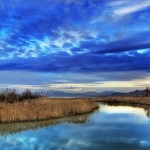 Крещенская вода